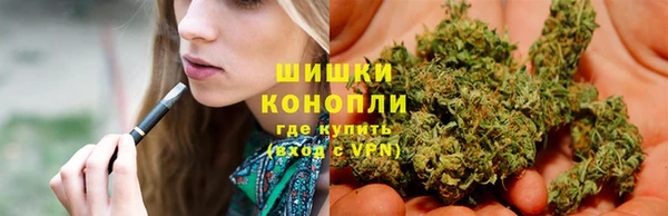 индика Абдулино