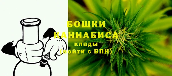 индика Абдулино
