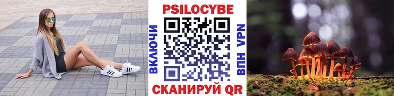 Галлюциногенные грибы Cubensis  что такое   Сафоново 